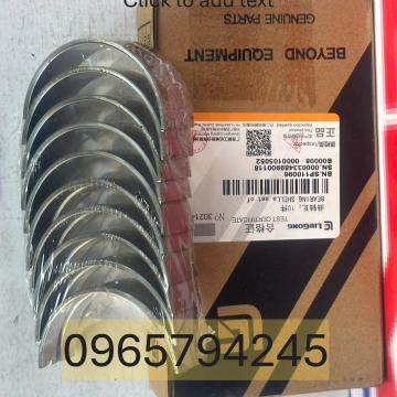BẠC BIÊN XE NÂNG 490