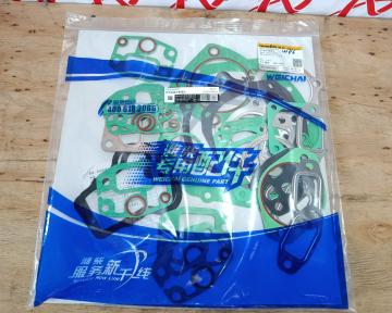 Bộ Gioăng Đại Tu Động Cơ WP6